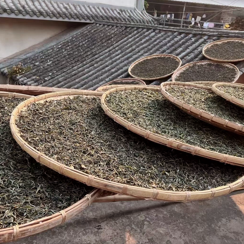 Gu Shu Gua Feng Zhai 2025 Pu Erh 357g Cake