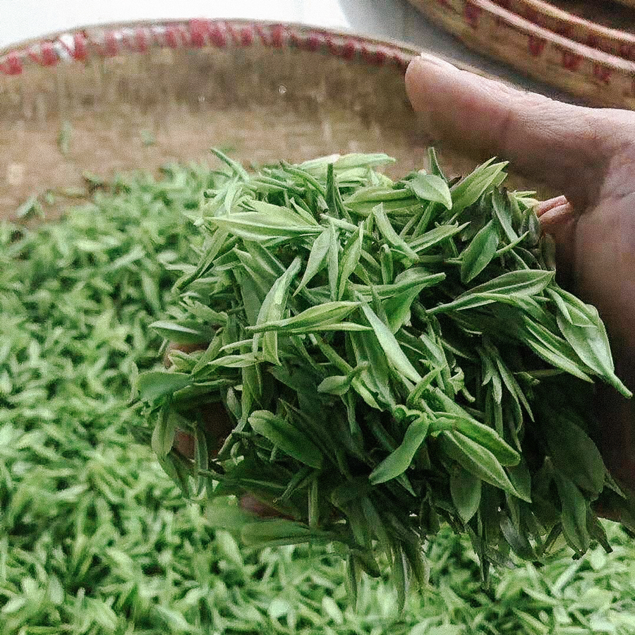 Thé vert au jasmin bio Thé vert au jasmin bio