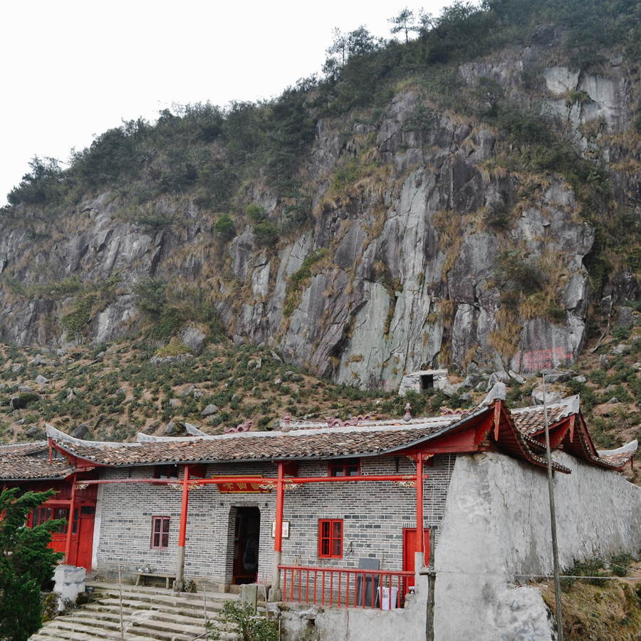 SUI TONG CHA IMPERIAL GRADE PEST.FREE Grüner Tee China