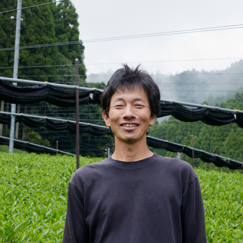 Hojicha en poudre Uji bio