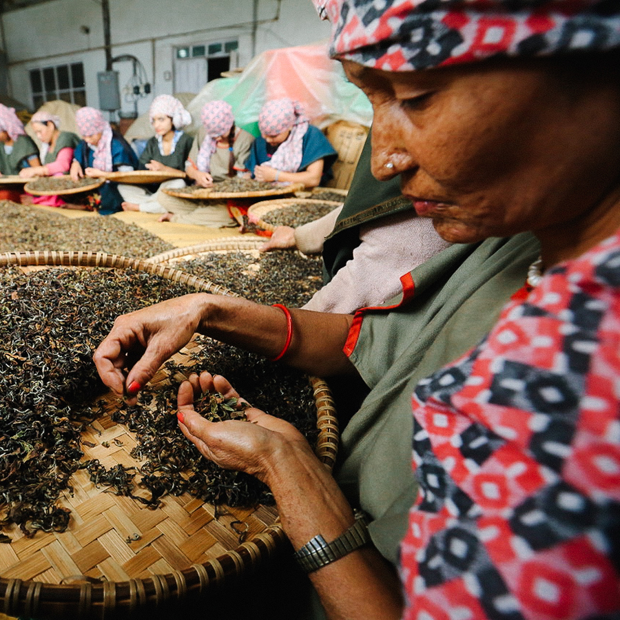 Guranse First Flush Wild Orchid Guranse First Flush Wild Orchid