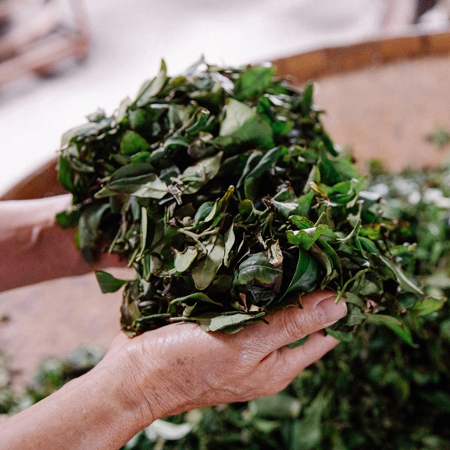 Thé de roche Wuyi Oolong Qi Lan Bio