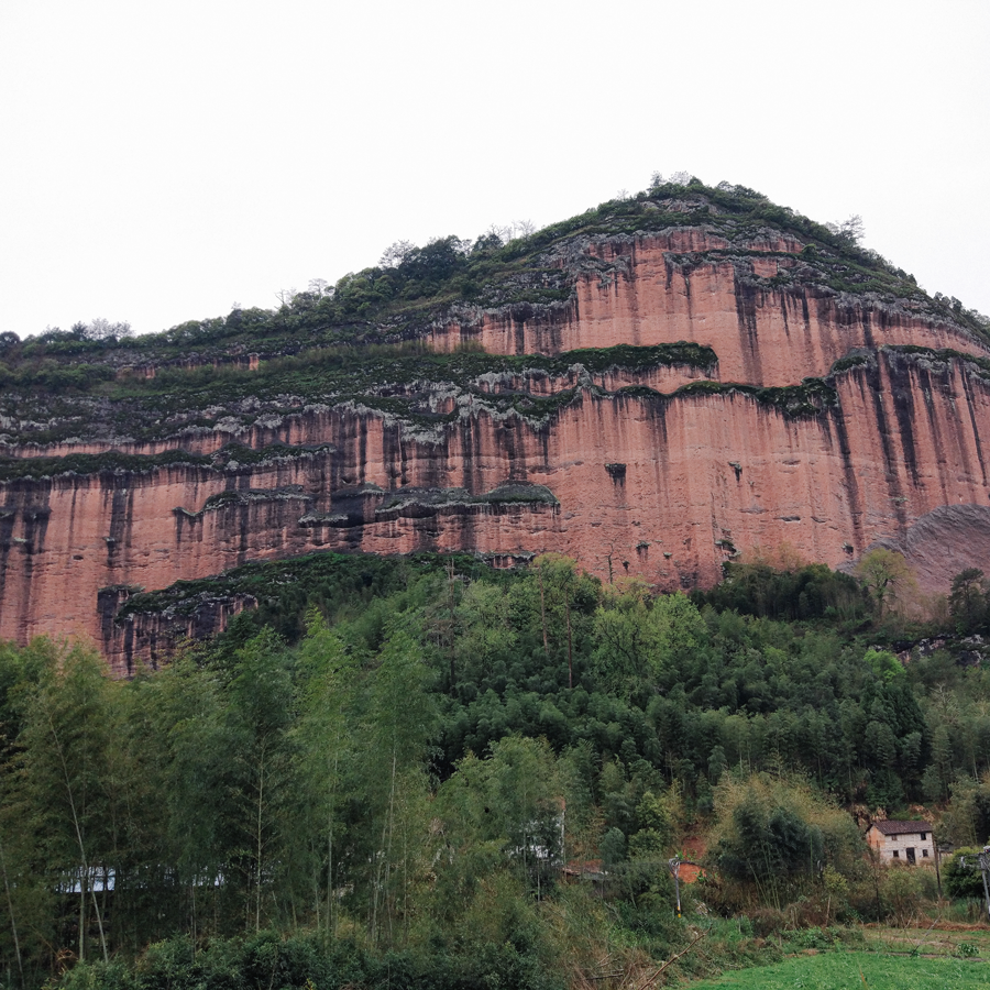 Thé de roche Wuyi Oolong Qi Lan Bio