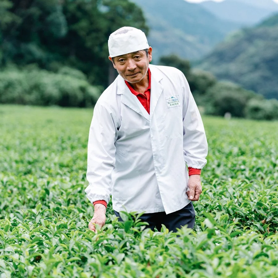 GABA Tea 350 Hirayanagi Organic