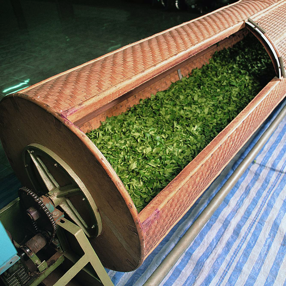 THAI JIN XUAN OOLONG BIO