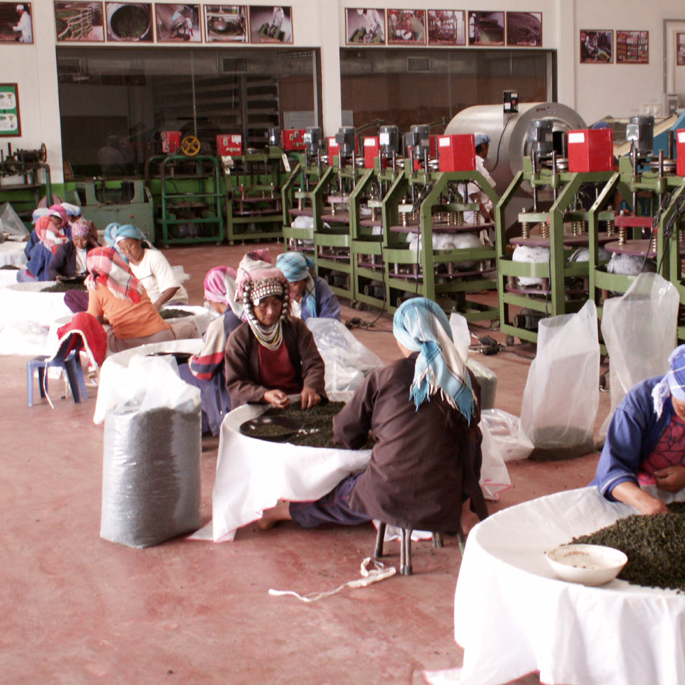 THAI BEAUTY OOLONG BIO THAI BEAUTY OOLONG BIO