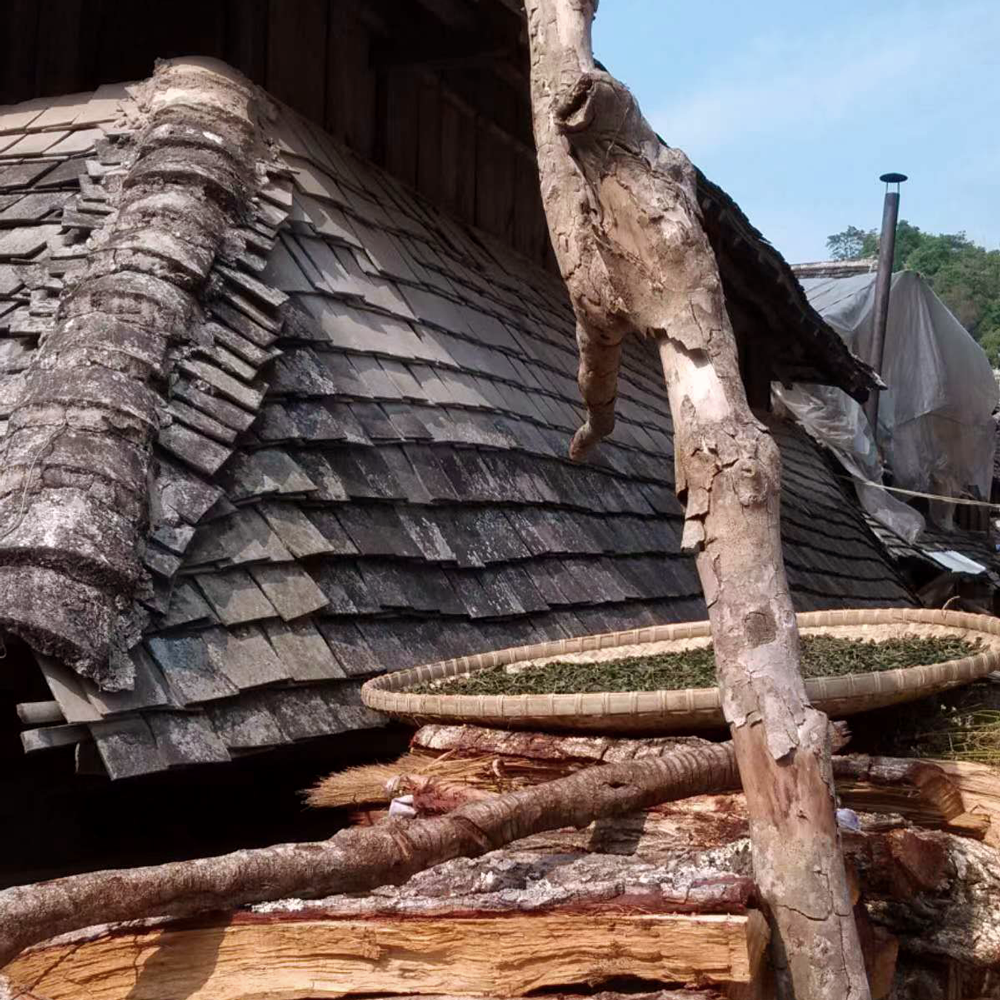 Thé au Jasmin Dragon Pearls Bio