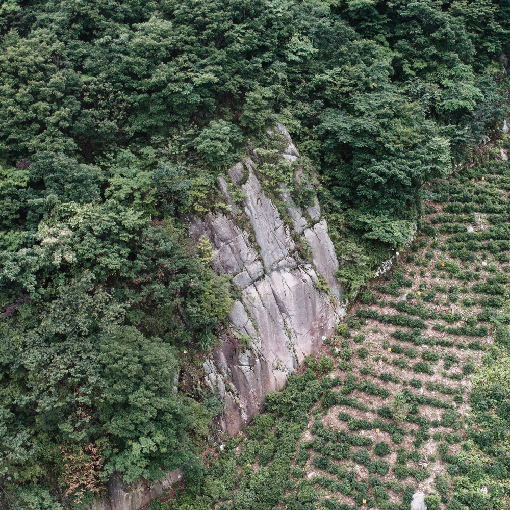 ANHUA FURONG TIAN JIAN 2019  ANHUA FURONG TIAN JIAN 2019