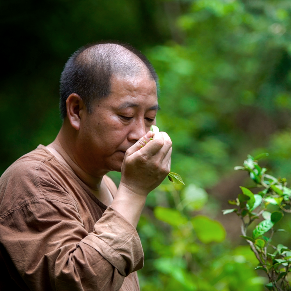 ANHUA FURONG TIAN JIAN 2019 Sans.Pest