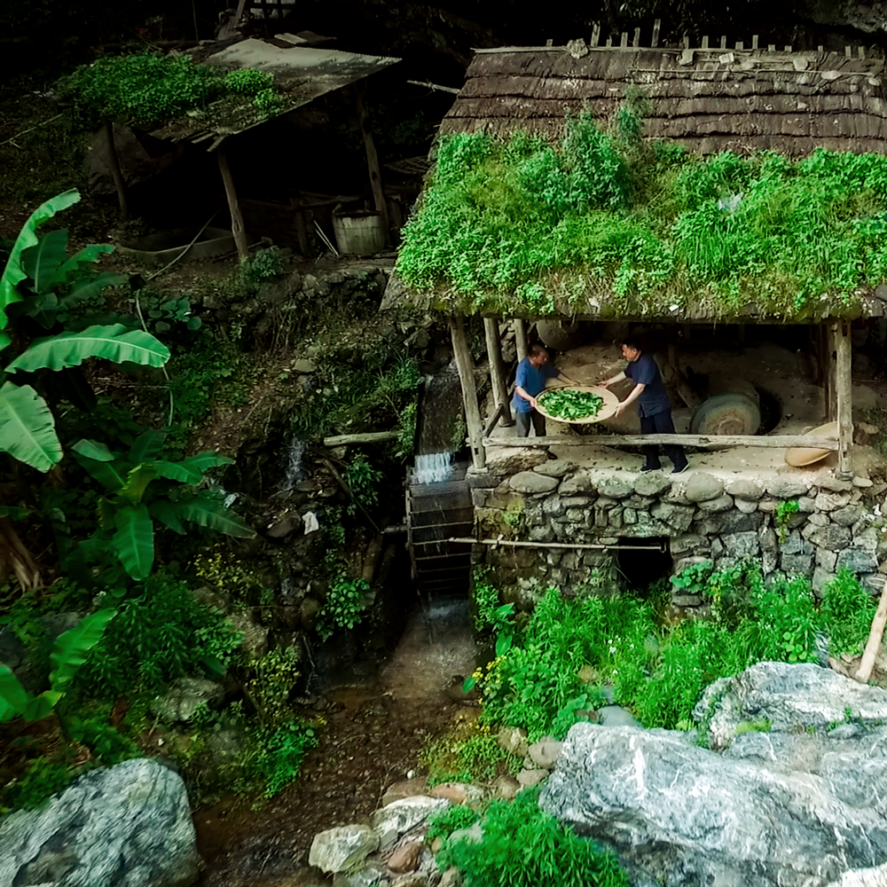 ANHUA CHUAN CHENG TIAN JIAN 2019 Pest.free