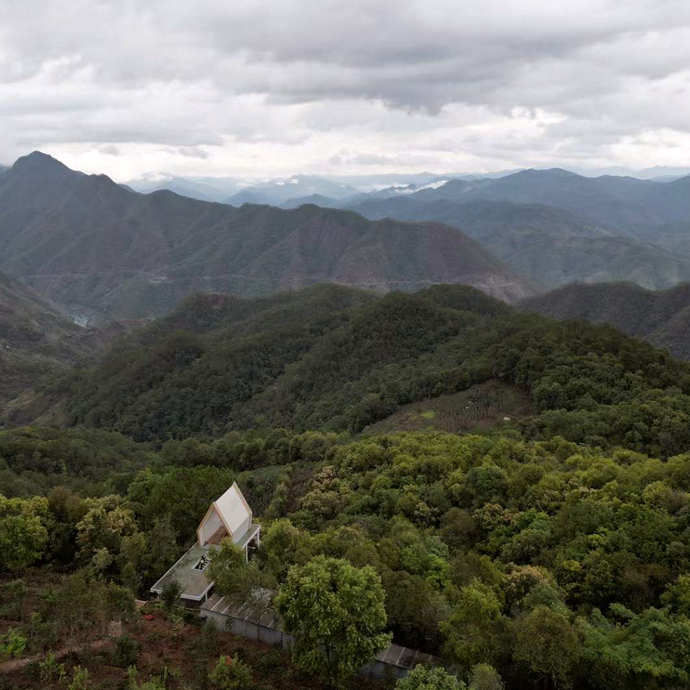 Tablette de thé Gushu Bai Mu Dan Tablette de thé Gushu Bai Mu Dan