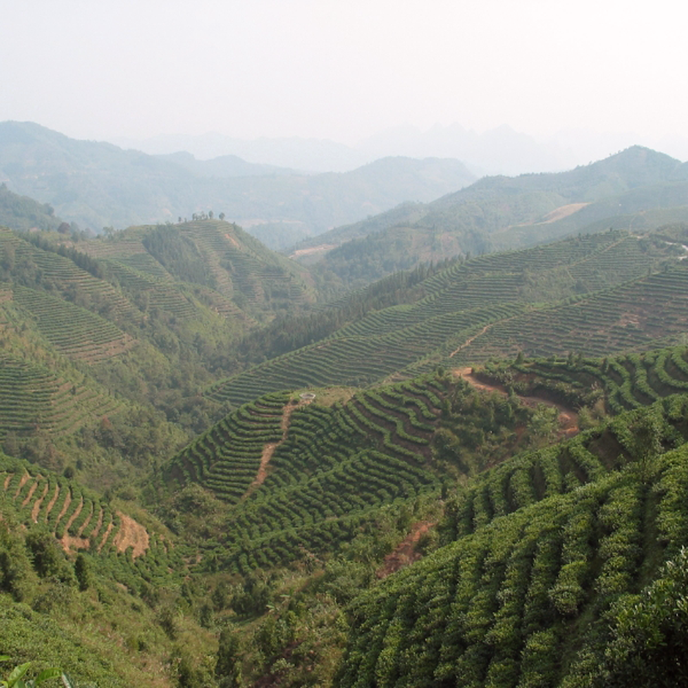 Guangxi Aiguilles d'Argent Guangxi Aiguilles d'Argent