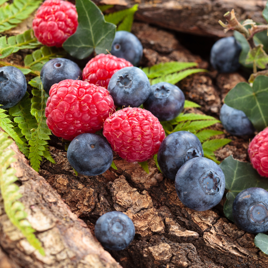 Red Berries Pure Fruit Edible Tea Red Berries Pure Fruit Edible Tea