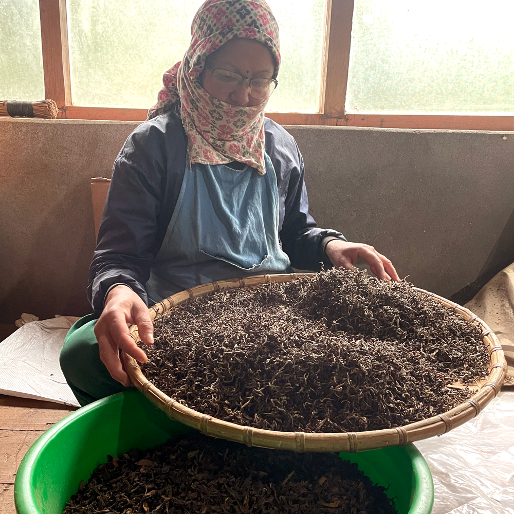 Guranse Autumn Flush Andang Organic Guranse Autumn Flush Andang Organic