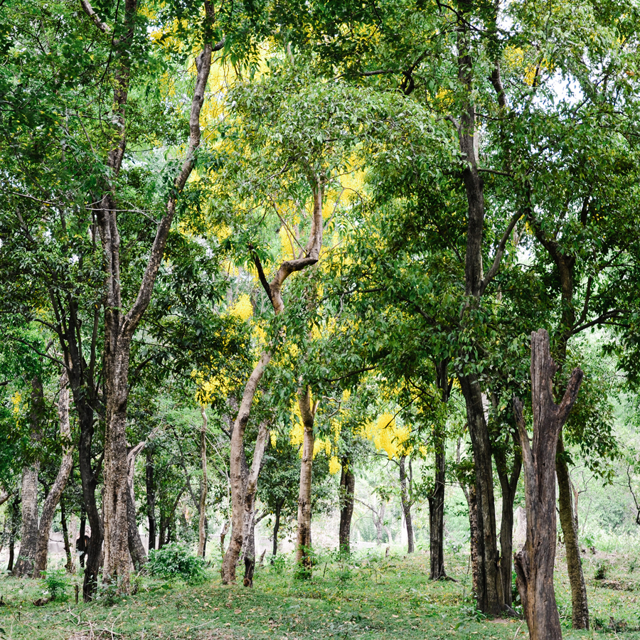 Bracelet de perles de prière en bois de santal L par Yamada-Matsu Bracelet de perles de prière en bois de santal L par Yamada-Matsu