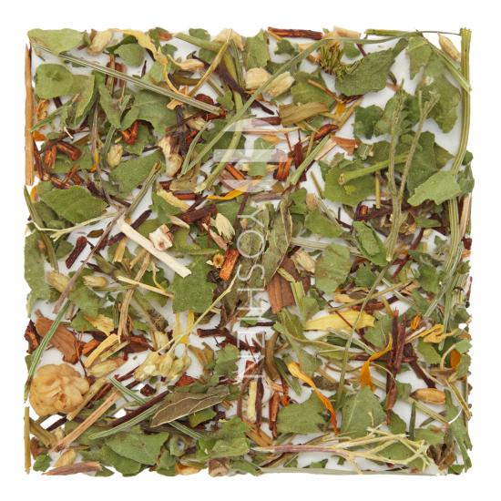 PC'Ovar-Tee Femme Balance Bio