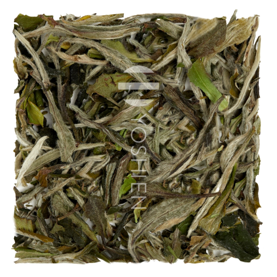 Zheng He Bai Mu Dan Pest.Free