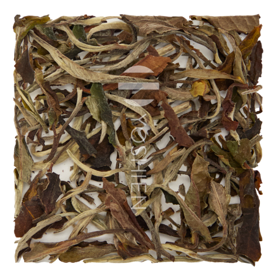 Orchid White Tea