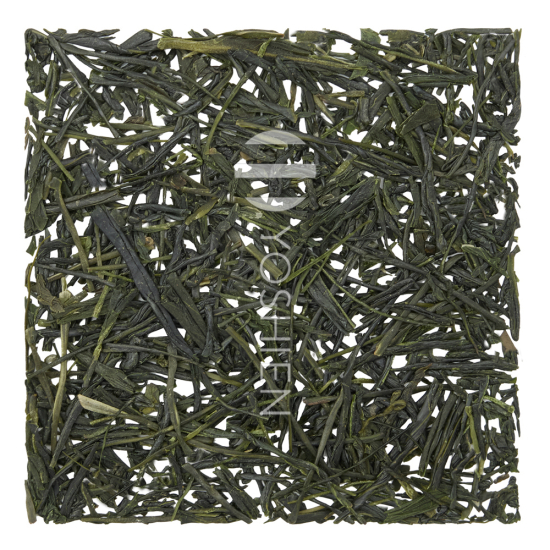 Sencha Honyama Fukumidori Organic