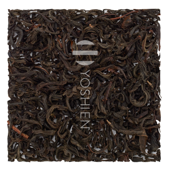 Wakocha Honyama Yumewakaba Bio