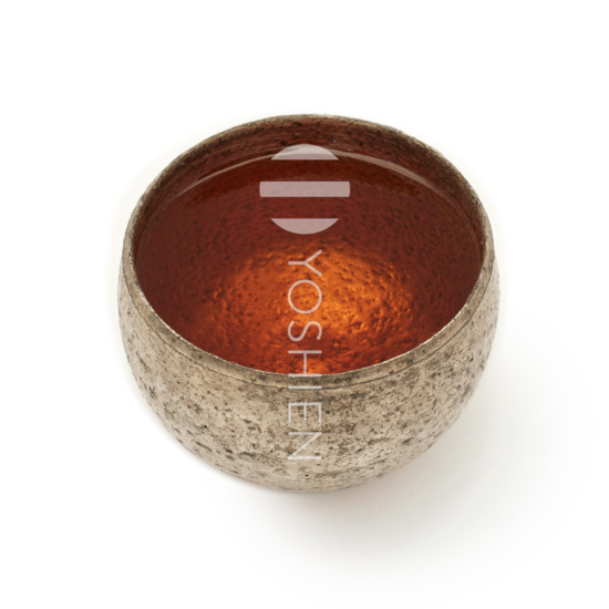 Wakocha Honyama Shizukaori Bio