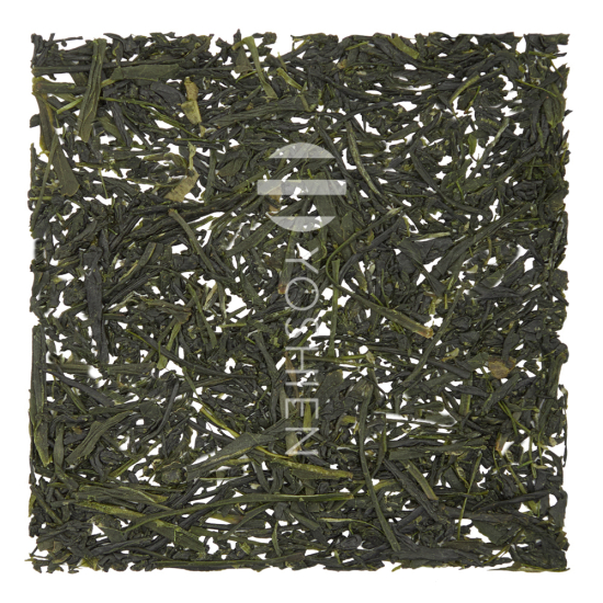 Sencha Yame Suiran Bio