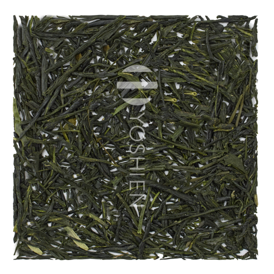 Gyokuro Honyama Yabukita