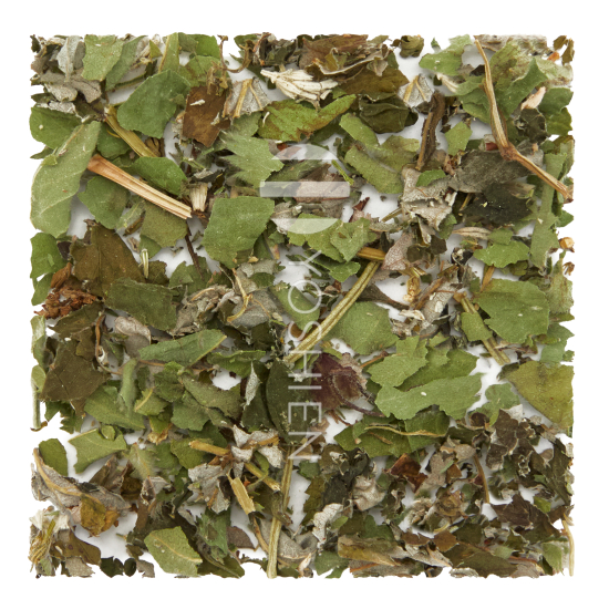 Ovula Tee Femme Balance Bio Blend