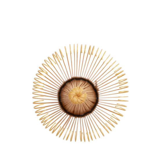 Fouet à Matcha Shirotake 80