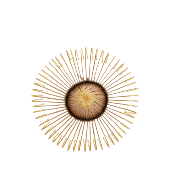 Matcha Whisk Shirotake Kazuho 70