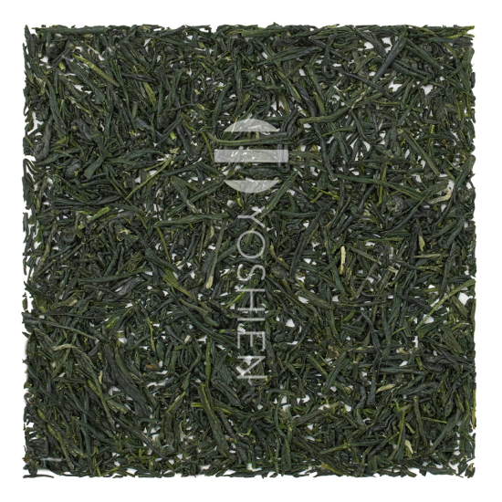 Hon Gyokuro Asahina Suzaku