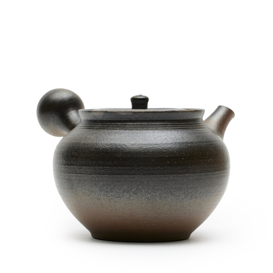 Kyusu Tokoname Hokujo Houkin