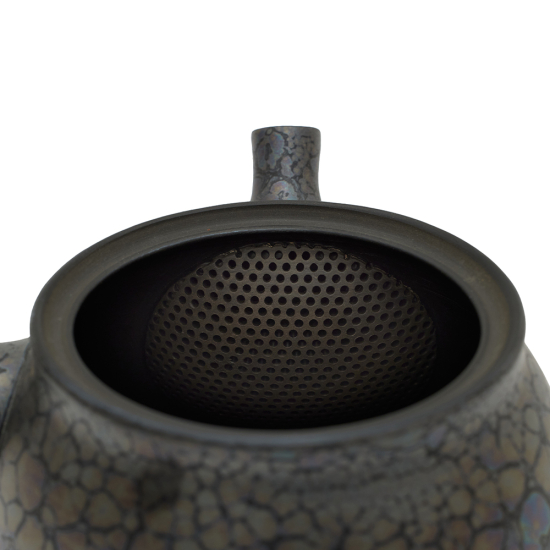 Kyusu Tokoname Shoryu Tenmoku