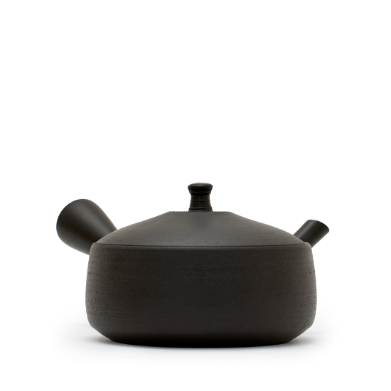 Kyusu Tokoname Hokuryu Hira Kuro