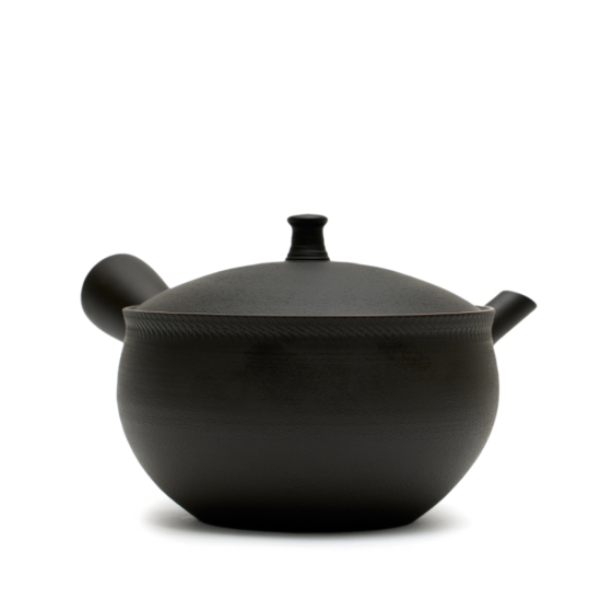 Kyusu Tokoname Hokuryu Namikage