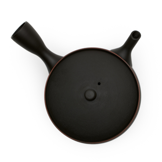 Kyusu Tokoname Hokuryu Namikage