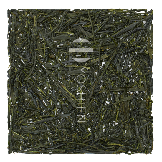 Kabusecha Honyama Seika P.Free