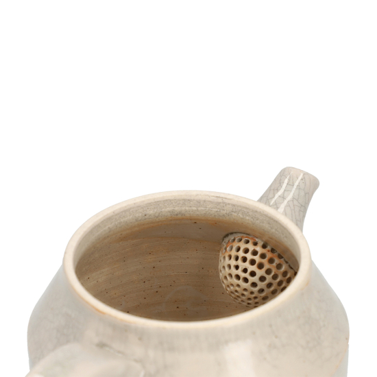 Kyusu Tokoname Gafu Kaiyu