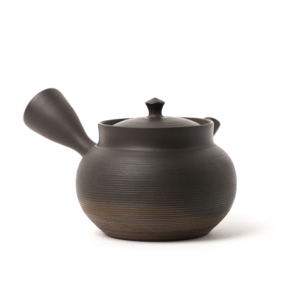 Kyusu Tokoname Gyokko Sendan