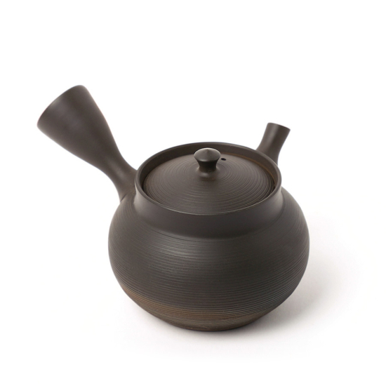 Kyusu Tokoname Gyokko Sendan