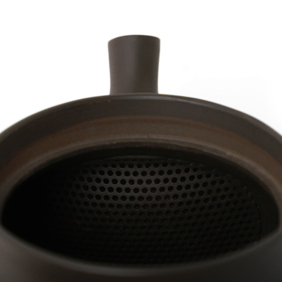 Kyusu Tokoname Gyokko Sendan