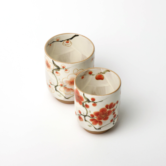 Teetassen Set Japan Tōan Ume Yunomi 2er Set