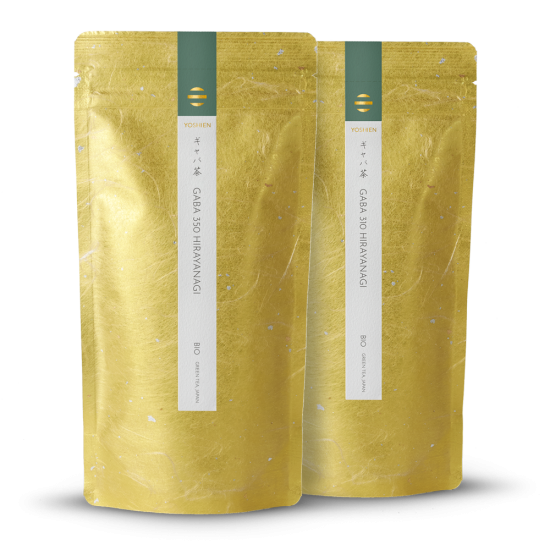 GABA Tee Hirayanagi Set