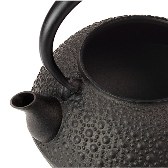 Tetsubin Iwachu Kikko Schwarz