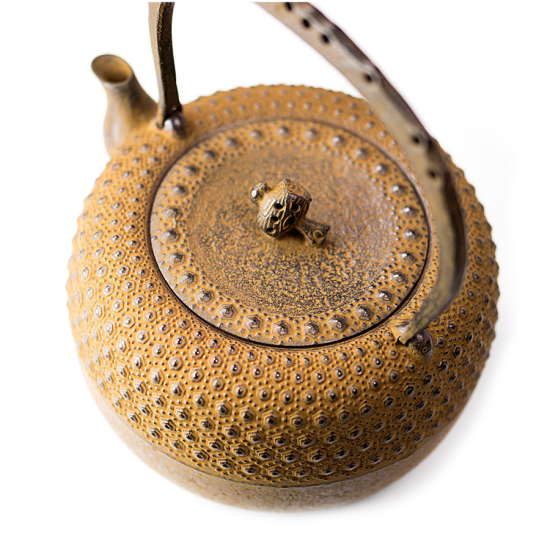 Tetsubin Iwachu Kikko Cha-Jiru