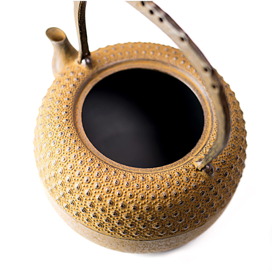Tetsubin Iwachu Kikko Cha-Jiru