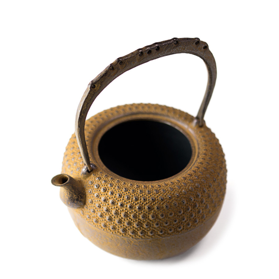 Tetsubin Iwachu Kikko Cha-Jiru
