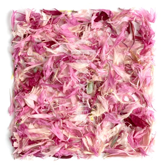 Tisane De Bleuets Rose Des Alpes Bio