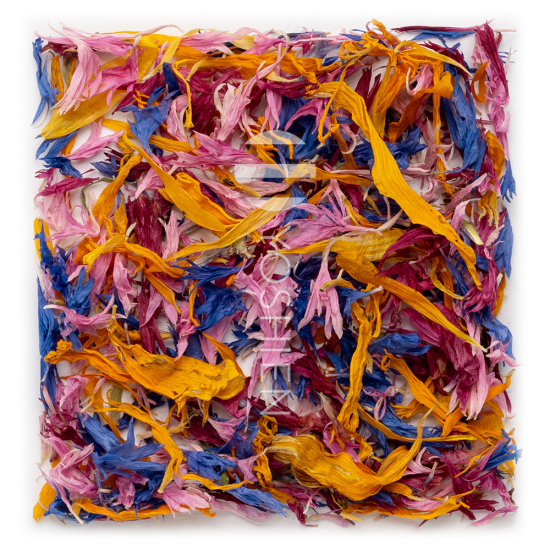 Organic Flower Blend Alpine Herbs