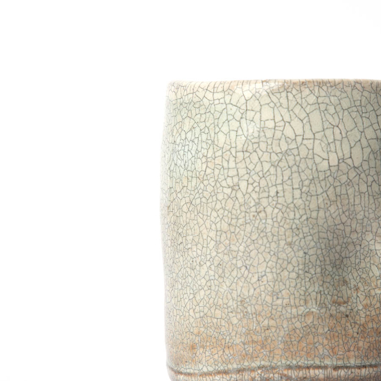 Tasse à thé Shigaraki Hyosetsu Haku III